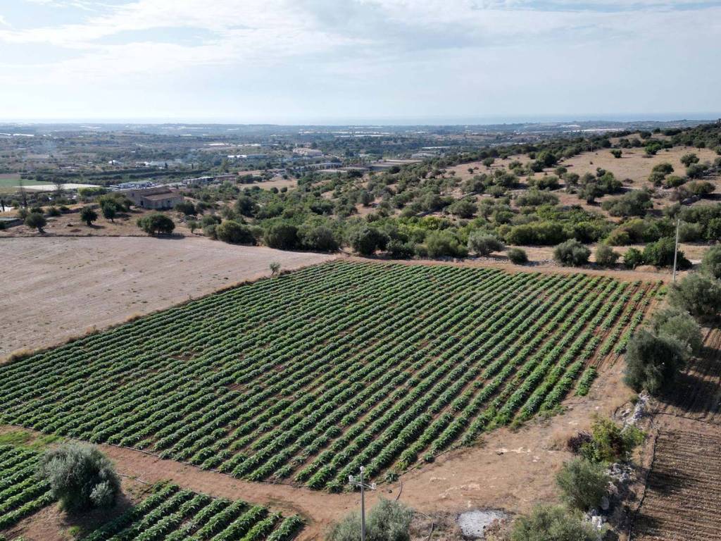 Terreno a Ispica in Contrada Scorsone - Foto 3