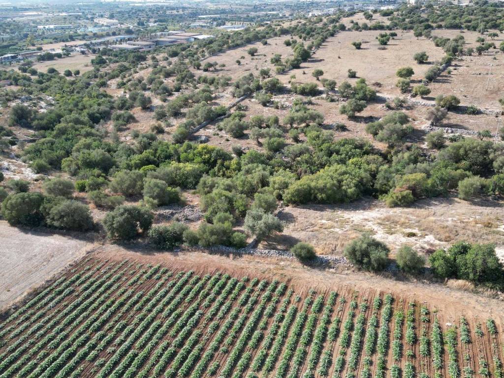 Terreno a Ispica in Contrada Scorsone - Foto 4