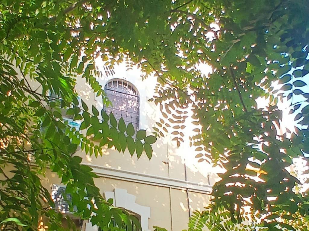 Appartamento a Reggio emilia - Foto 2