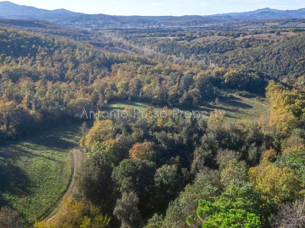 Rustico / casale a Cinigiano - Foto 3