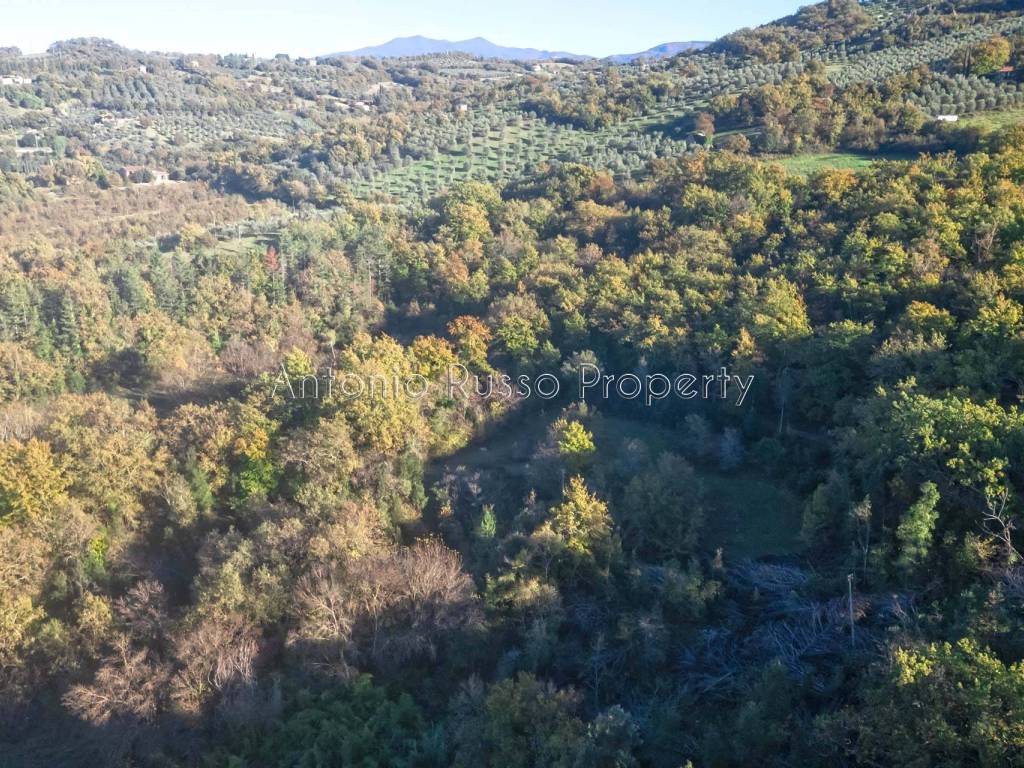 Rustico / casale a Cinigiano - Foto 4