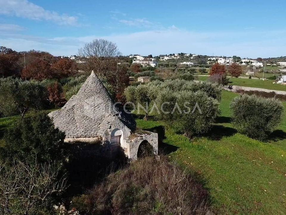 Rustico / casale a Locorotondo in Contrada Mavugliola - Foto 3