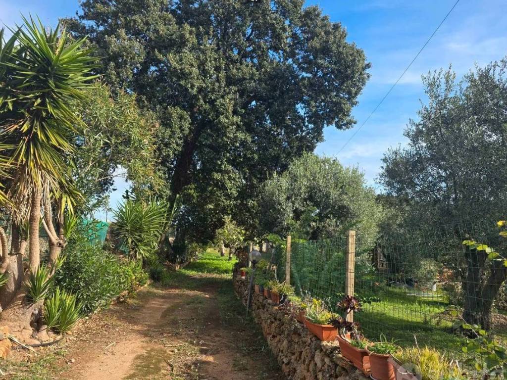 Appartamento a Alghero - Foto 2