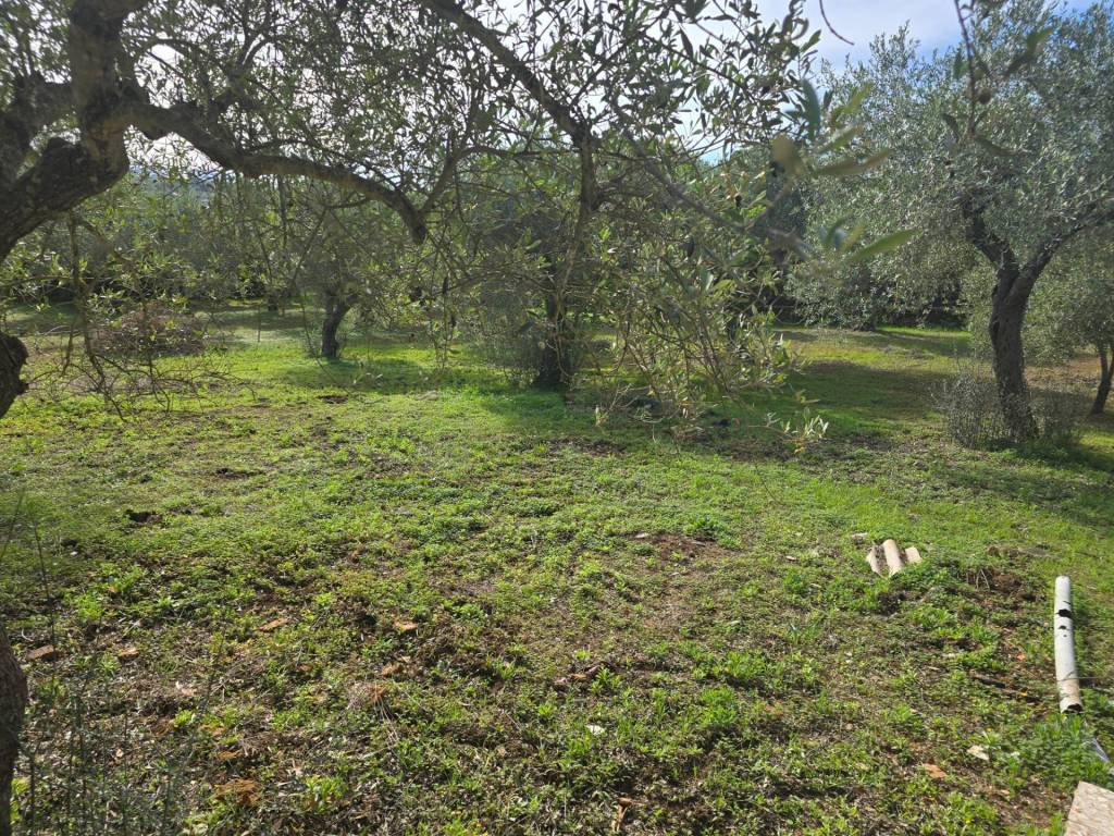 Appartamento a Alghero - Foto 3