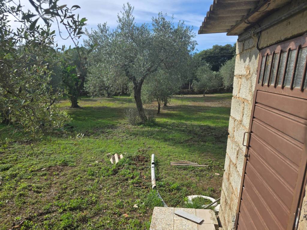 Appartamento a Alghero - Foto 4