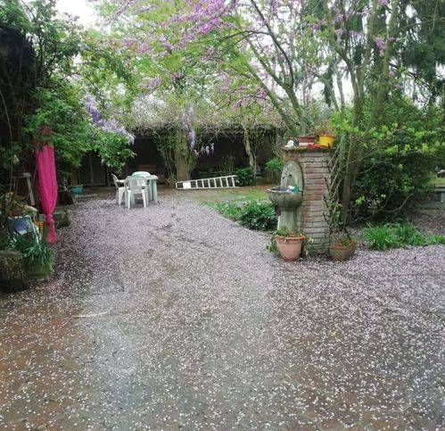 Casa indipendente a Alessandria in Via Dell'Osterietta - Foto 3