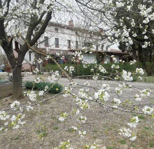 Casa indipendente a Alessandria in Via Dell'Osterietta - Foto 4