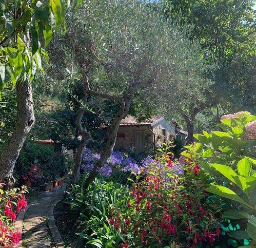 Terreno a Lerici in La Serra - Foto 3