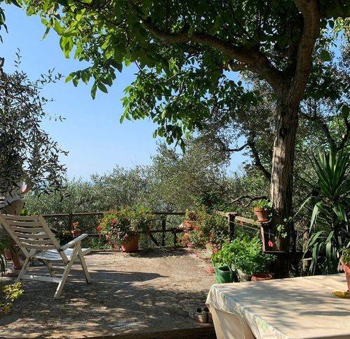 Terreno a Lerici in La Serra - Foto 5