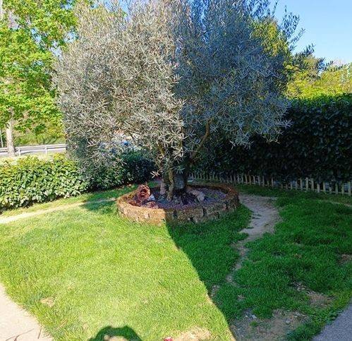 Appartamento a Fermignano in Via Dell'Industria - Foto 2