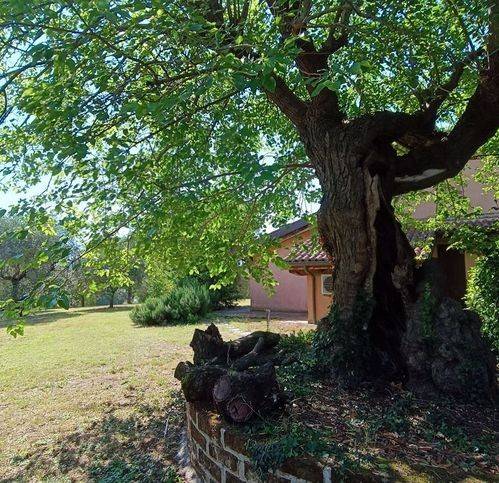 Villa a Cartoceto in Via Lenze - Foto 3