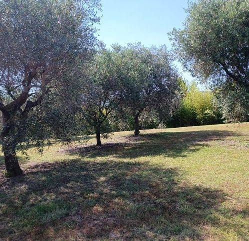 Villa a Cartoceto in Via Lenze - Foto 5