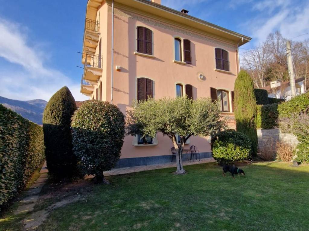 immagine di copertina