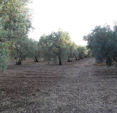 Terreno a Formia in Mamurrano - Foto 2