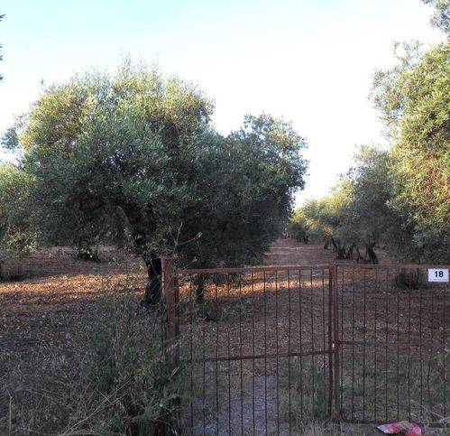 Terreno a Formia in Mamurrano - Foto 3