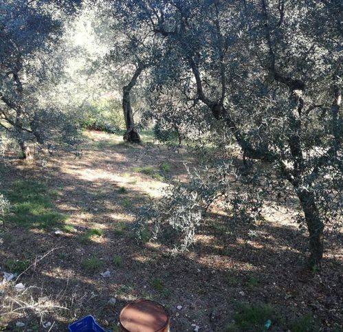 Terreno a Itri in Bicefalo - Foto 3