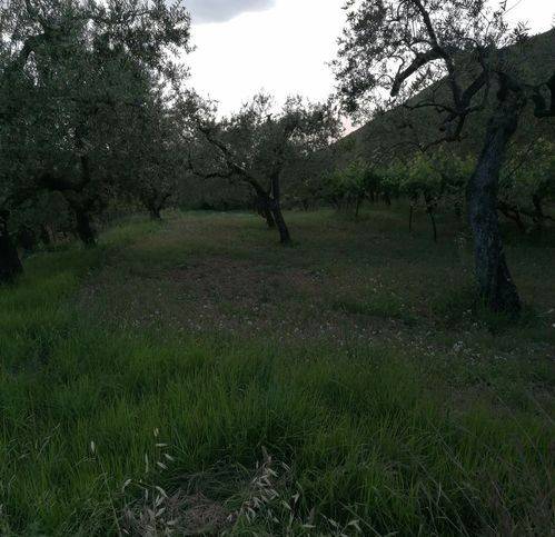 Terreno a Formia in Castellonorato - Foto 3