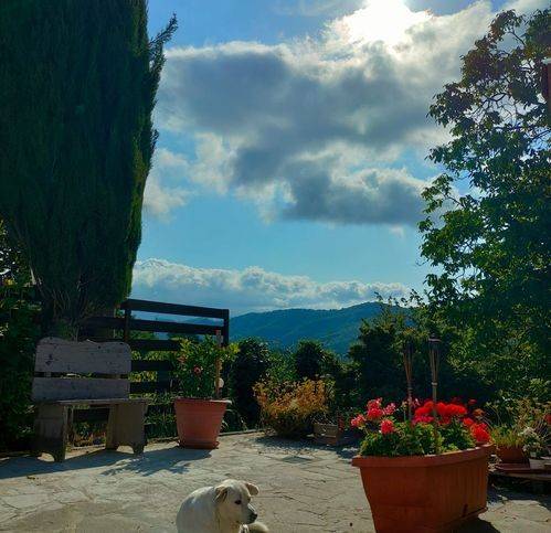 Villa a Cantagallo in Strada Comunale Di Santo Stefano - Foto 5