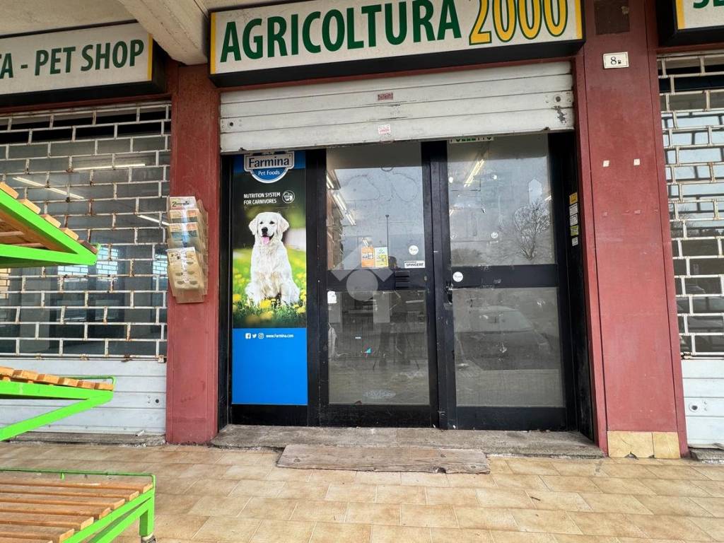 Immobile a Bracciano in Via delle Palme, 8 - Foto 3