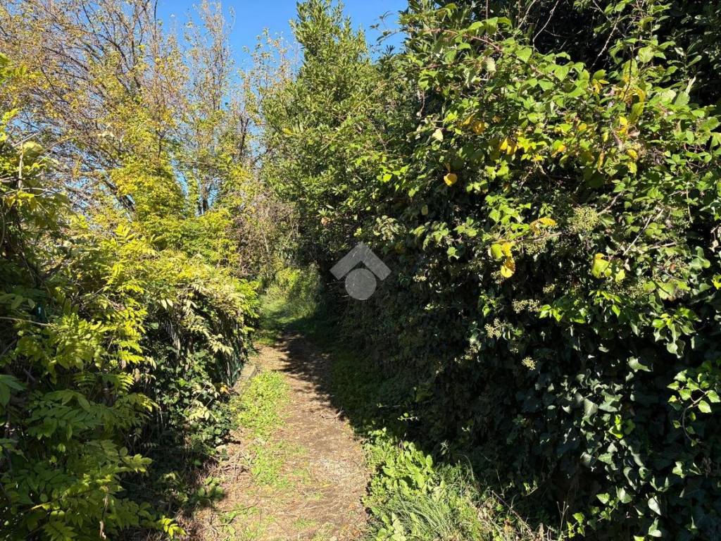 Terreno a San dorligo della valle - dolina in Località Dolina - Foto 4