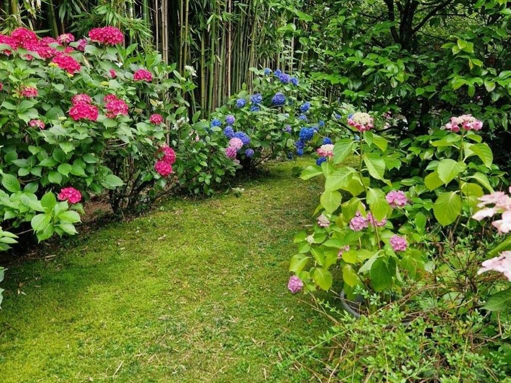 Casa indipendente a Samarate - Foto 4