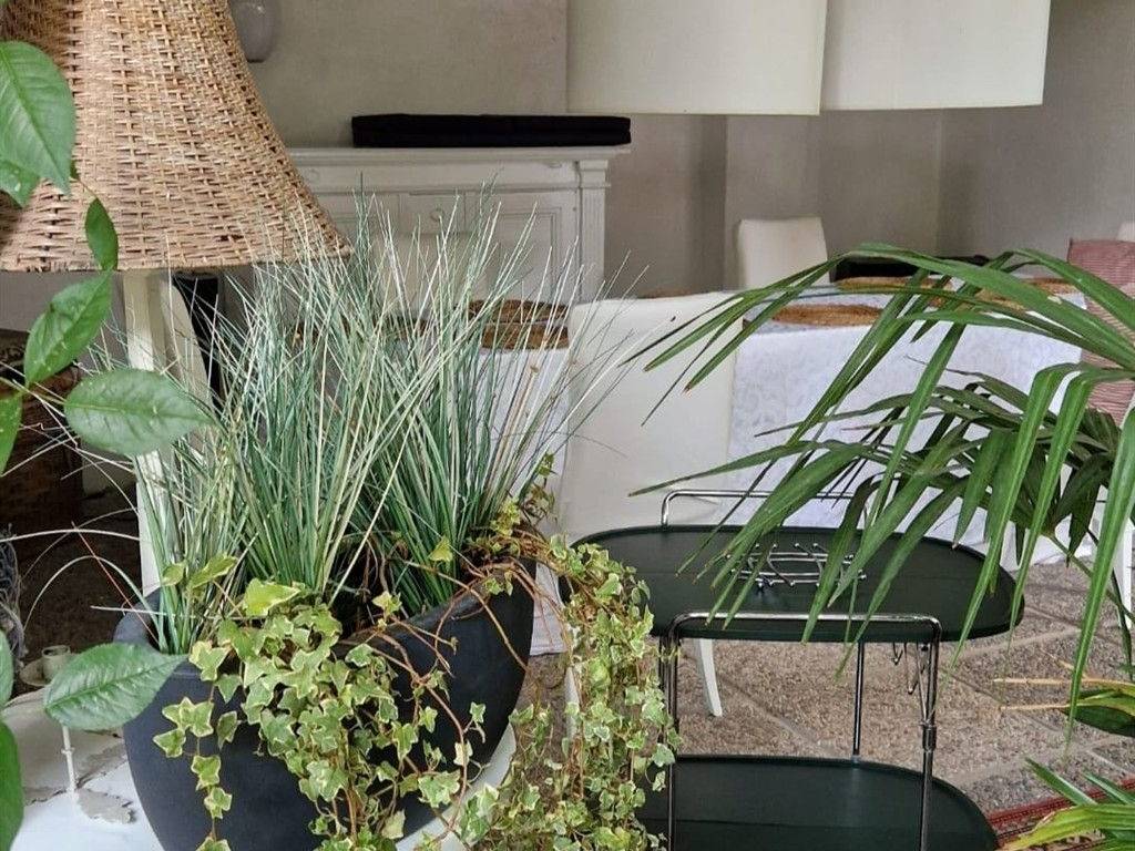 Casa indipendente a Samarate - Foto 5