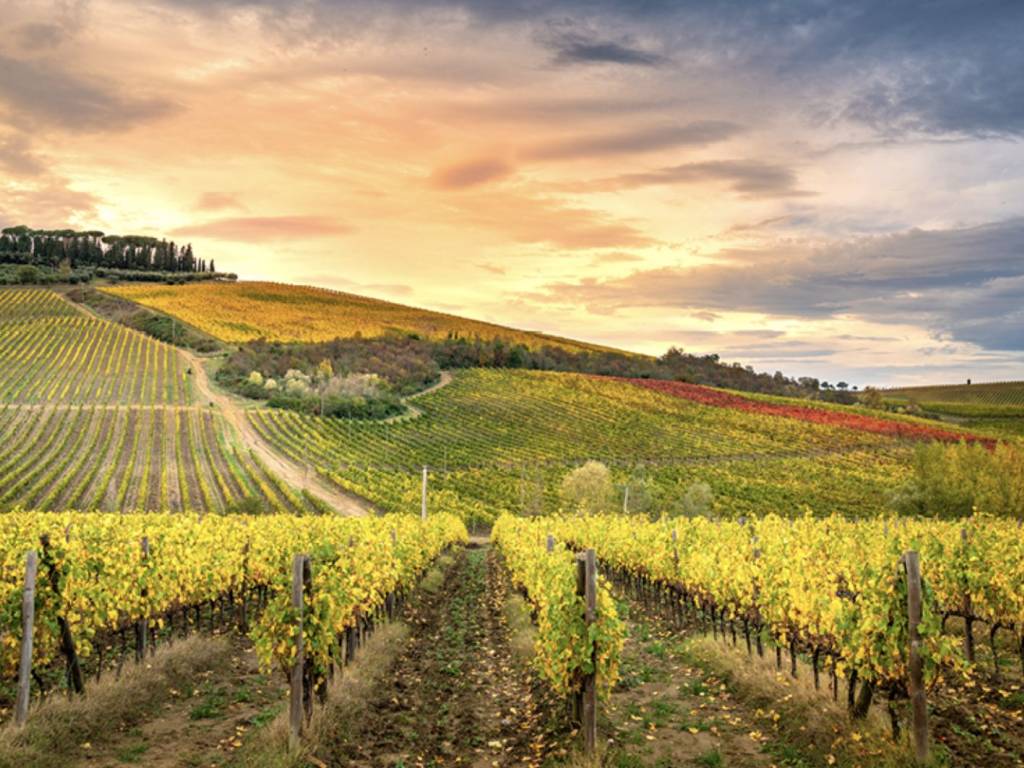 Rustico / casale a Greve in chianti in Via della Chiesa - Foto 3