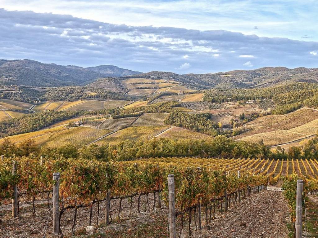 Rustico / casale a Greve in chianti in Via della Chiesa - Foto 4