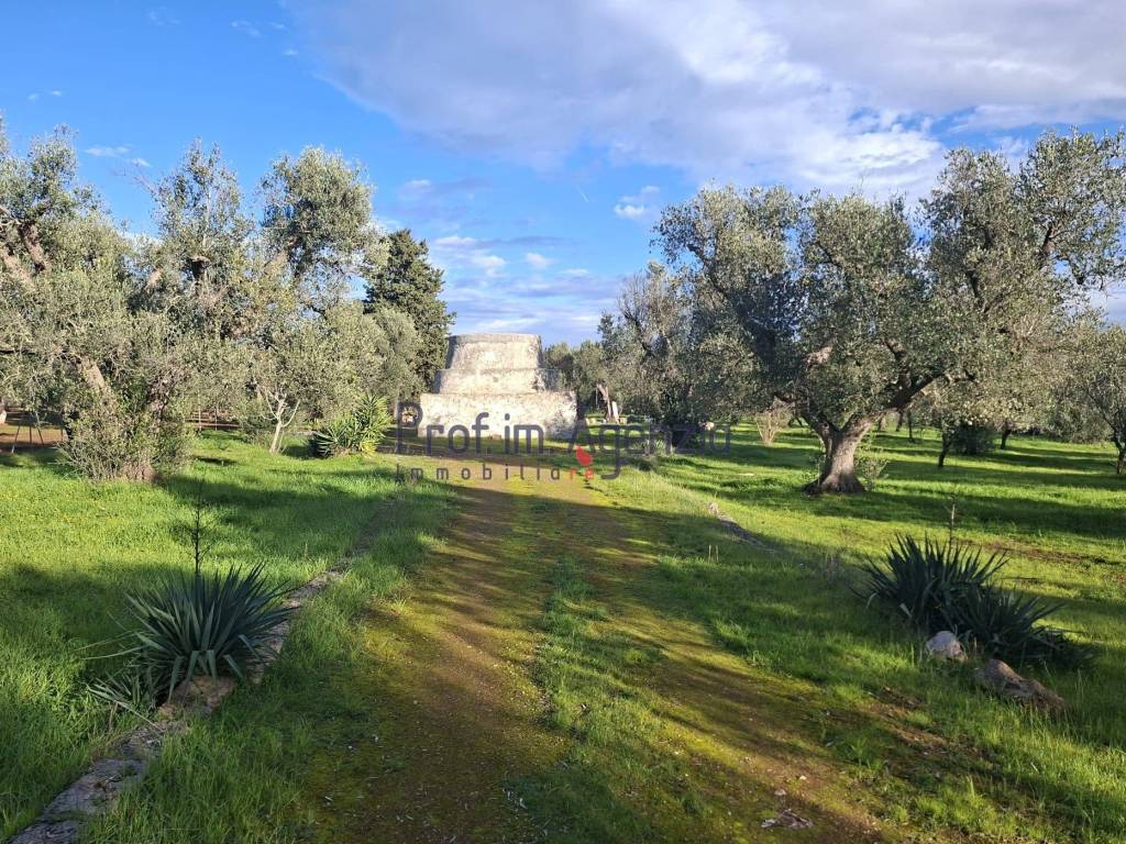 Rustico / casale a San michele salentino in Contrada Aieni - Foto 3