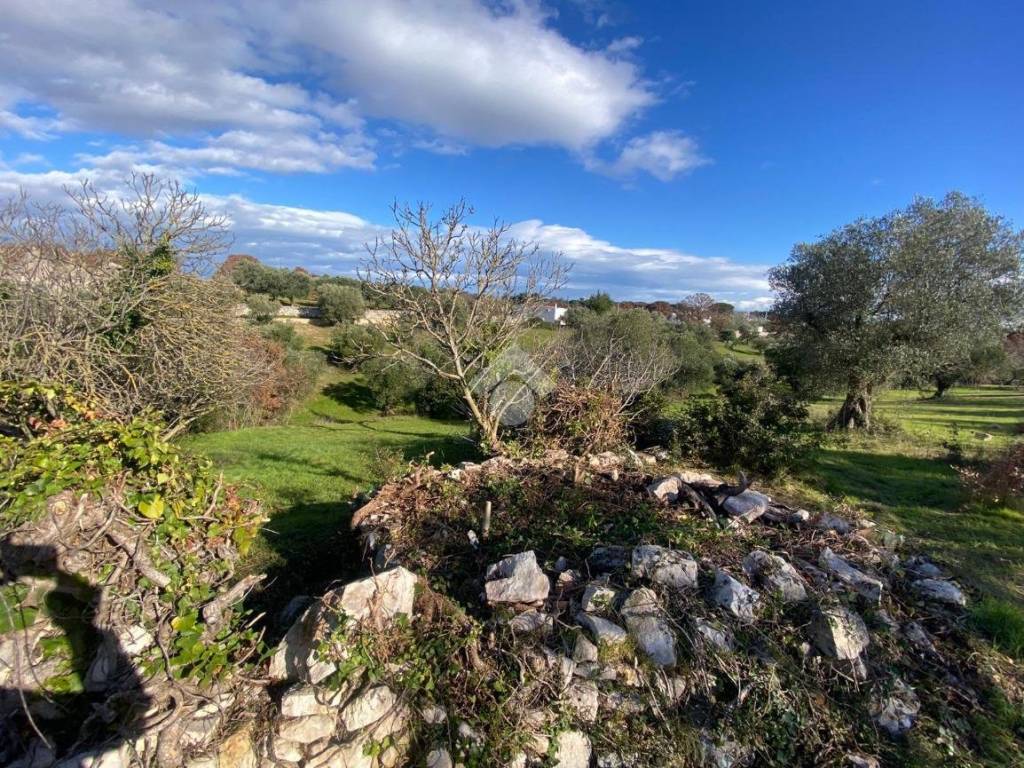 Rustico / casale a Cisternino in Contrada Sisto - Foto 4