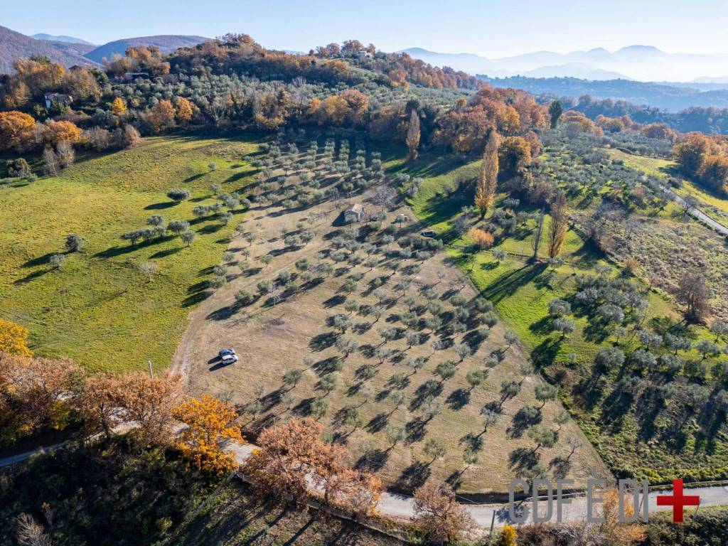 Rustico / casale a Mompeo in SP46 - Foto 2