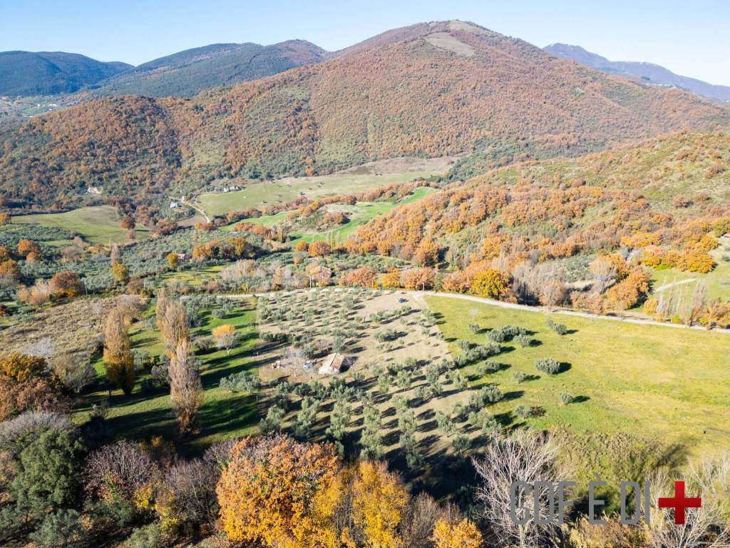 Rustico / casale a Mompeo in SP46 - Foto 3