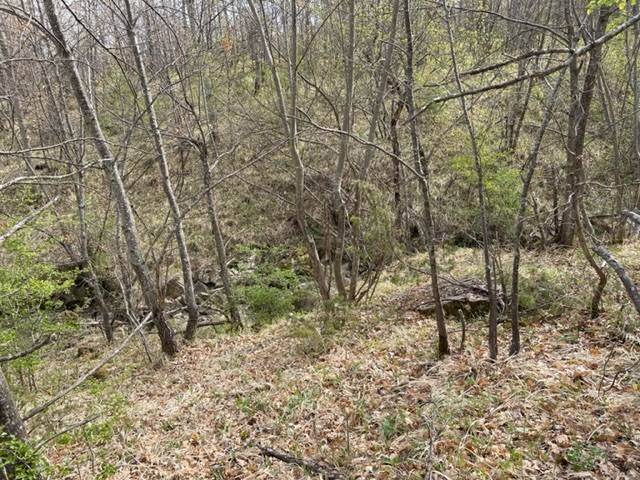 Terreno a San benedetto val di sambro in Via La Ca', 32 - Foto 2