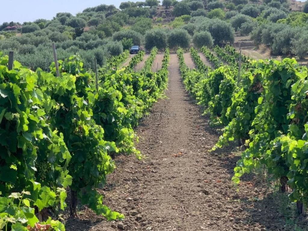Terreno a Noto in Contrada Belliscala - Foto 3