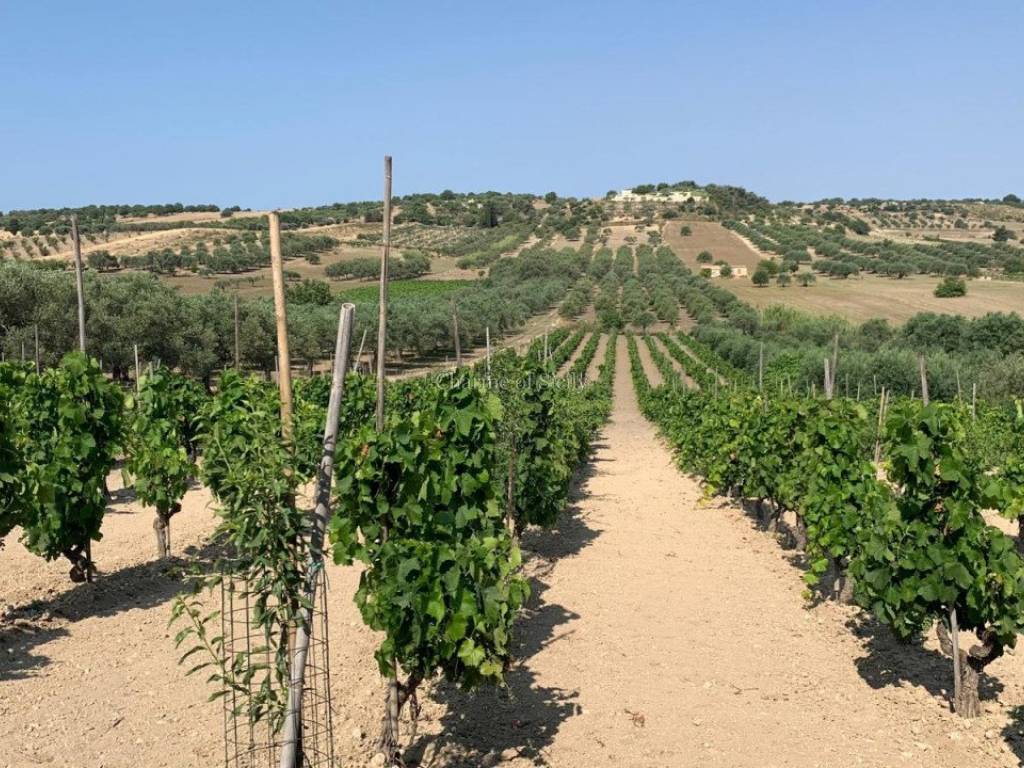 Terreno a Noto in Contrada Belliscala - Foto 4