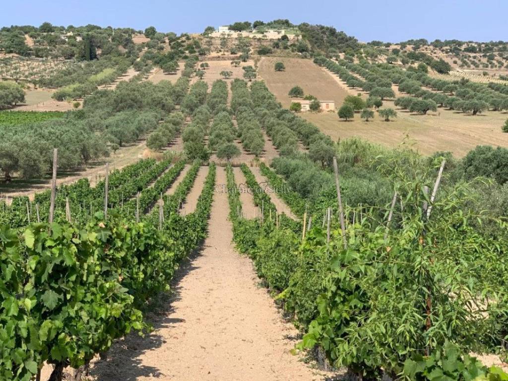 Terreno a Noto in Contrada Belliscala - Foto 5