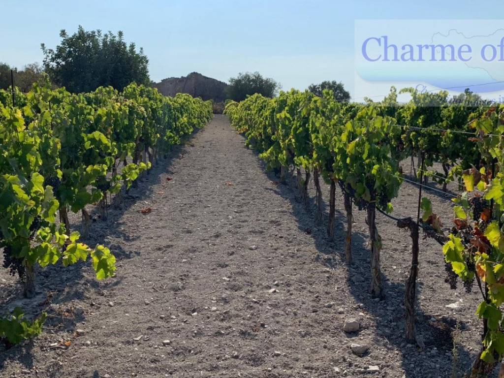 Rustico / casale a Noto in Contrada Bonivini - Foto 2