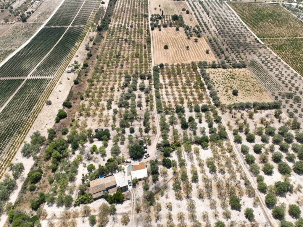 Rustico / casale a Noto in Contrada Bonivini - Foto 4