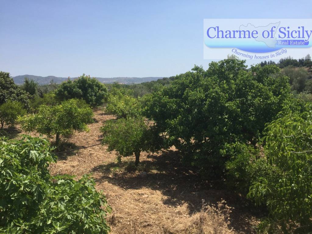 Terreno a Rosolini in Contrada Pirainito - Foto 4