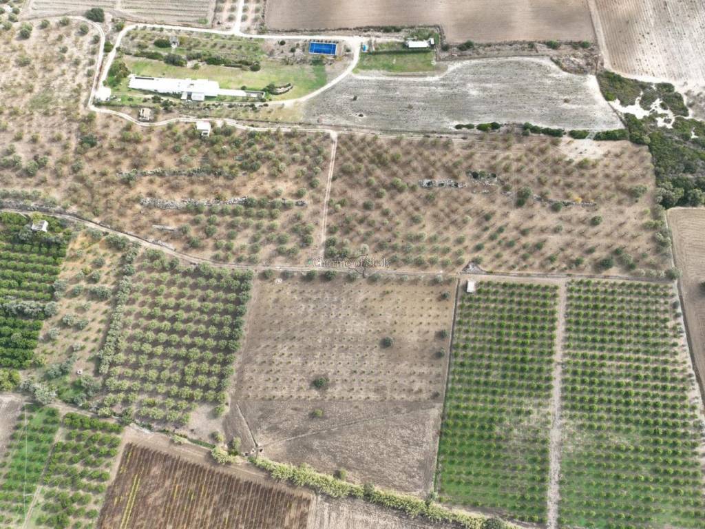 Rustico / casale a Noto in Provinciale 56 - Foto 3