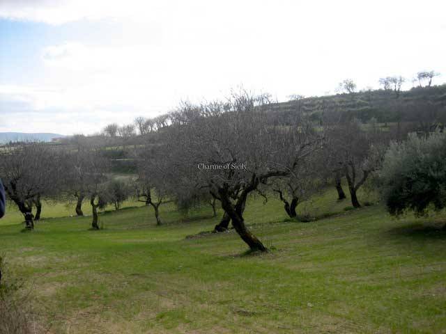 Terreno a Giarratana in Contrada Mandrevecchie - Foto 4