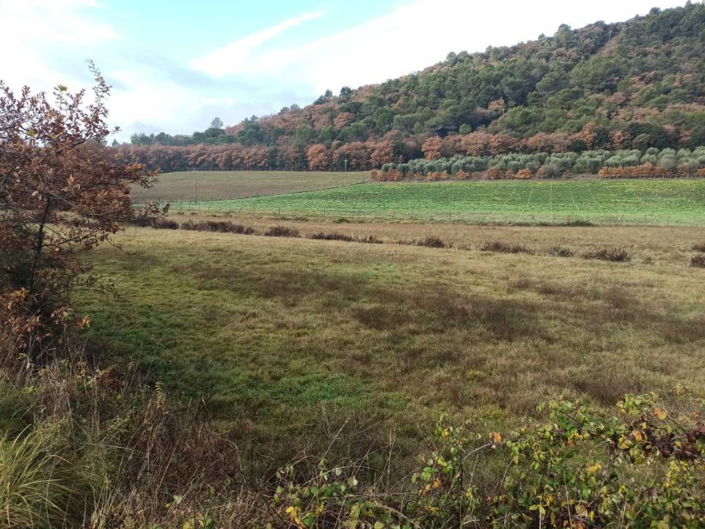 Terreno a Panicale in Via del Lago, 9 - Foto 2