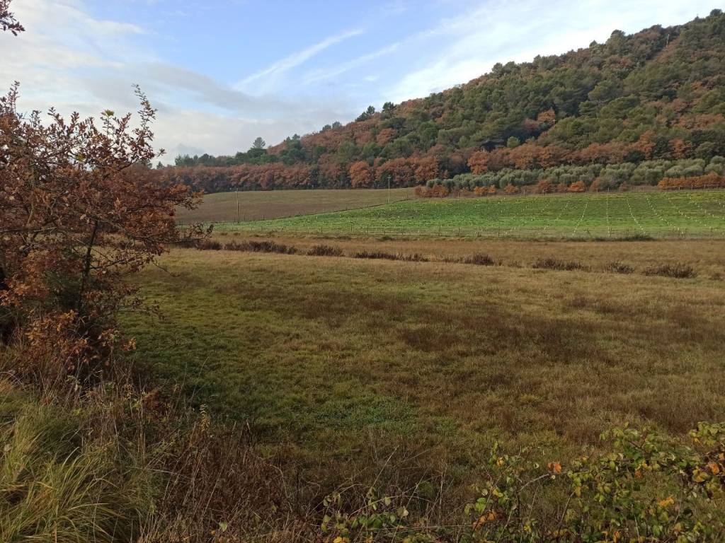 Terreno a Panicale in Via del Lago, 9 - Foto 3