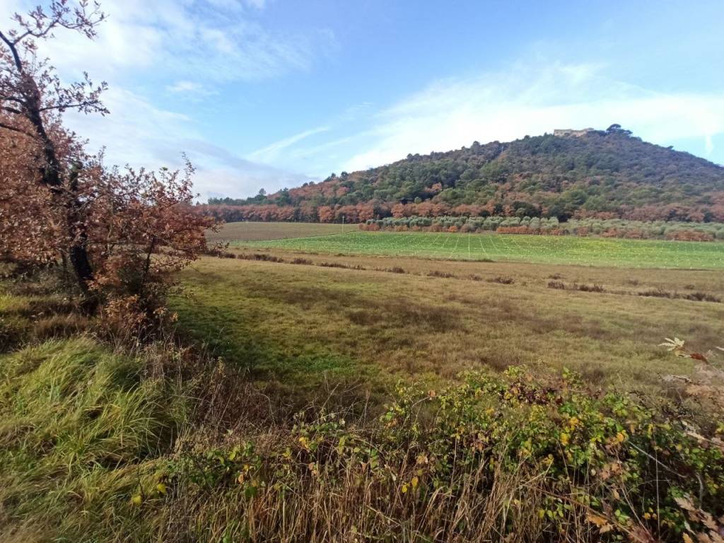 Terreno a Panicale in Via del Lago, 9 - Foto 4