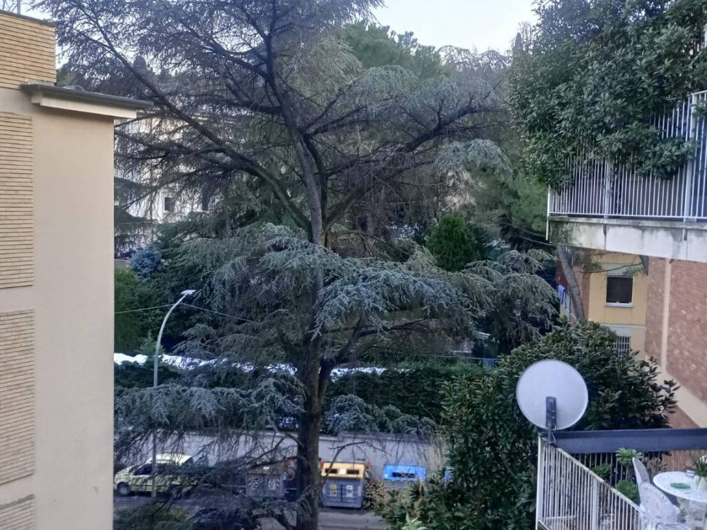 Appartamento a Bologna in Via Odone Belluzzi, 1 - Foto 4