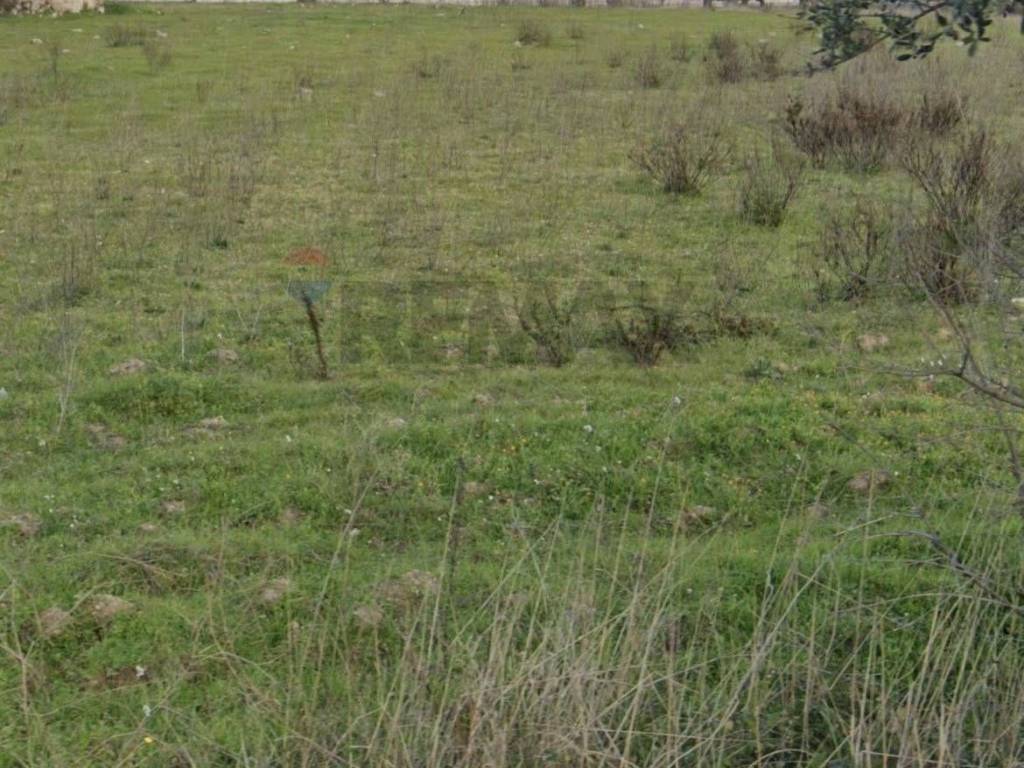 Terreno a Bari in Strada Crocifisso - Foto 2
