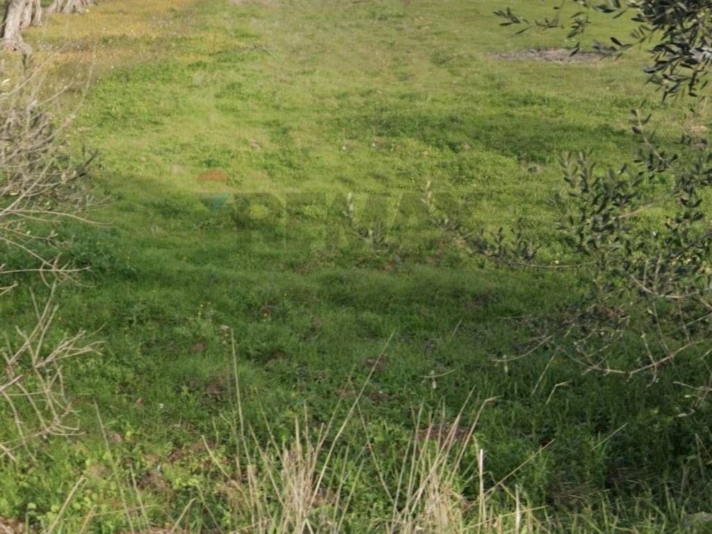 Terreno a Bari in Strada Crocifisso - Foto 4