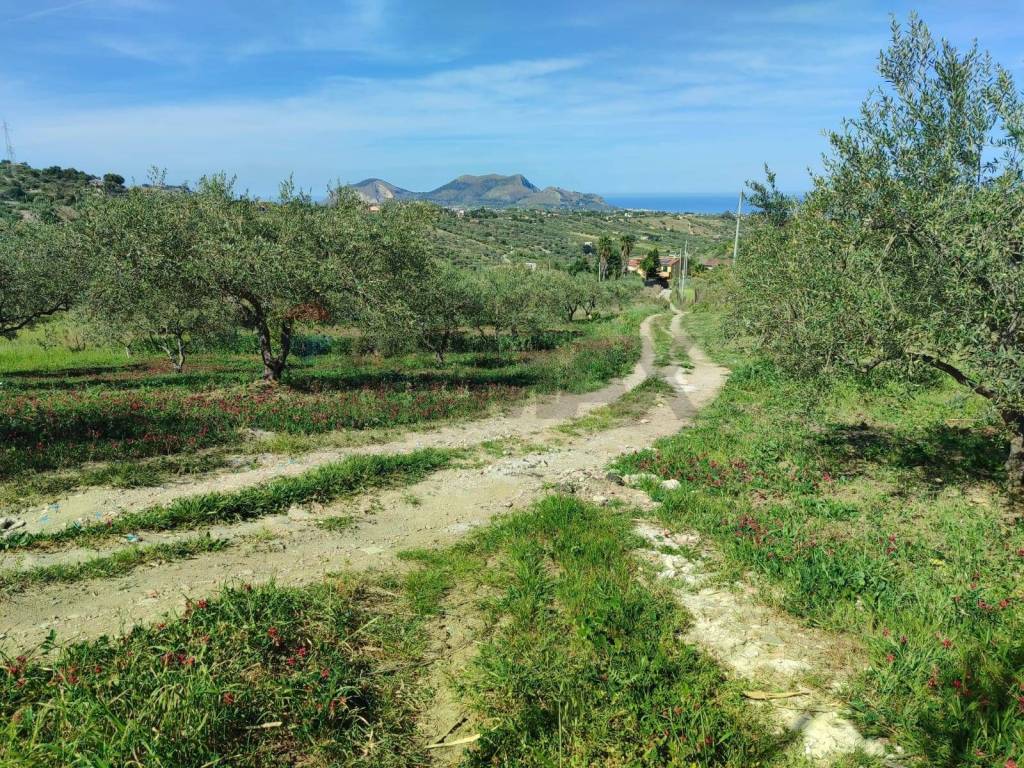 Terreno a Casteldaccia in CONTRADA BAMBINO - Foto 2