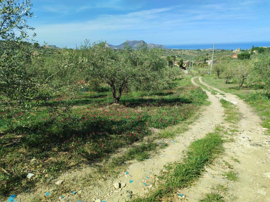 Terreno a Casteldaccia in CONTRADA BAMBINO - Foto 3