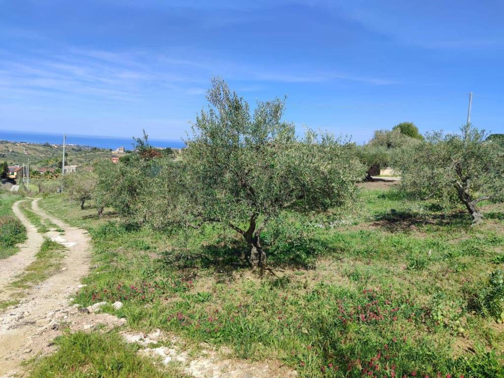 Terreno a Casteldaccia in CONTRADA BAMBINO - Foto 4